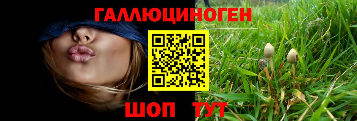 Псилоцибиновые грибы Psilocybe  продажа наркотиков  Сегежа  Вход с VPN  Псилоцибиновые грибы Cubensis 